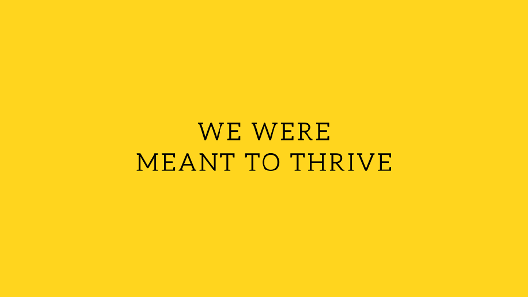 We Were Meant To Thrive