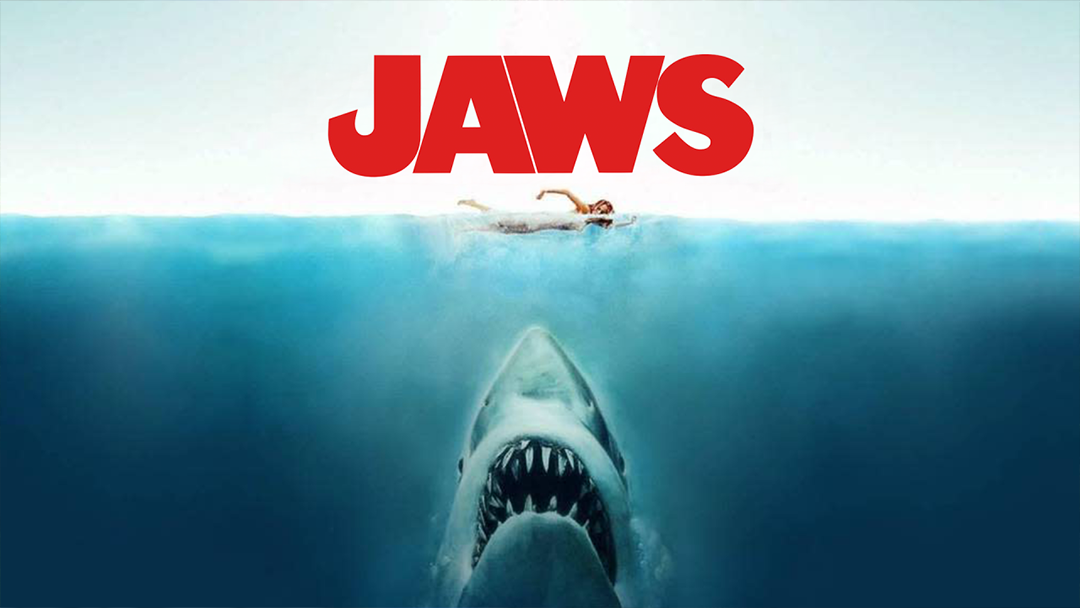 Survival Against the Odds: From Shark Attacks to Corporate Rescues